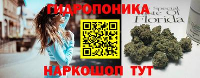 стаф Братск