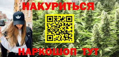 стаф Братск