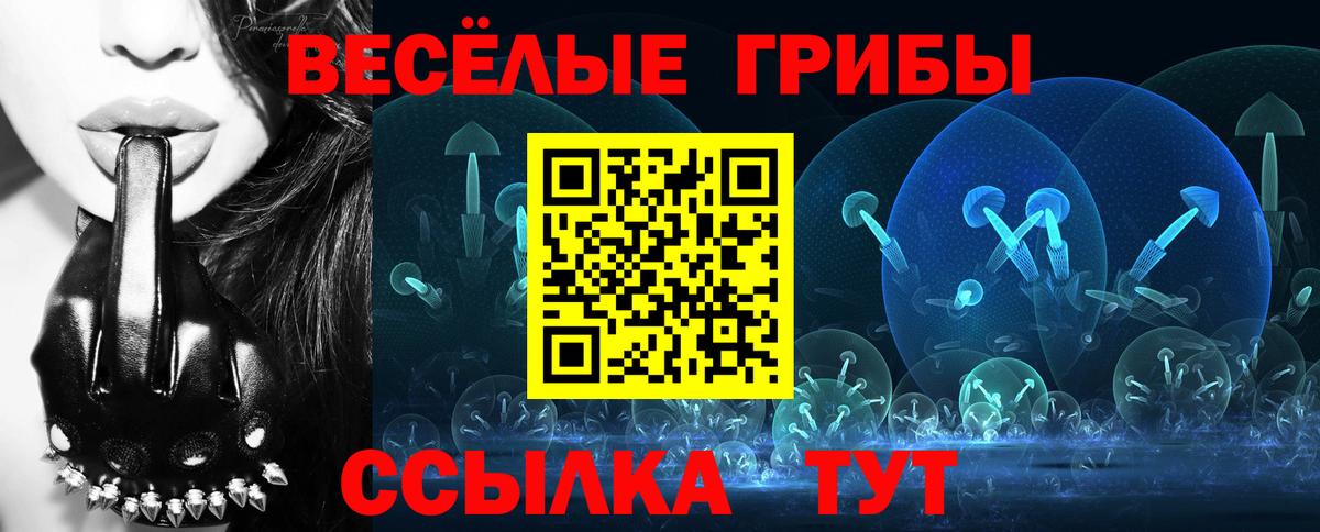 Галлюциногенные грибы MAGIC MUSHROOMS Сальск