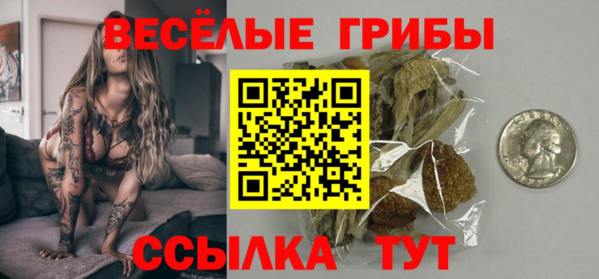 Сальск  Псилоцибиновые грибы GOLDEN TEACHER  купить наркотики сайты  Вход с VPN 